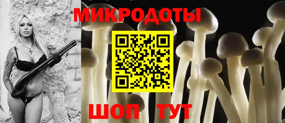 Сегежа  Галлюциногенные грибы MAGIC MUSHROOMS  Вход с VPN 