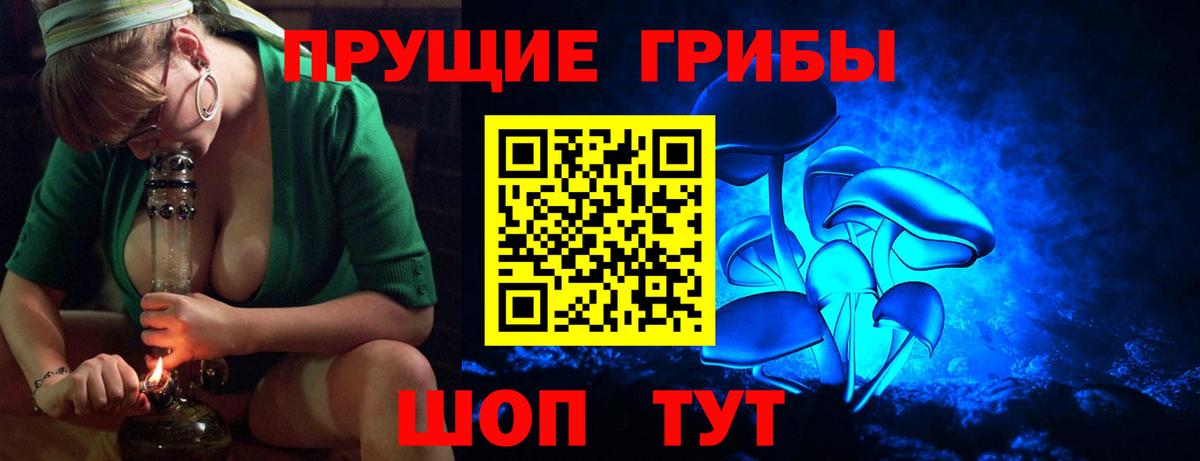 Псилоцибиновые грибы мицелий Сегежа